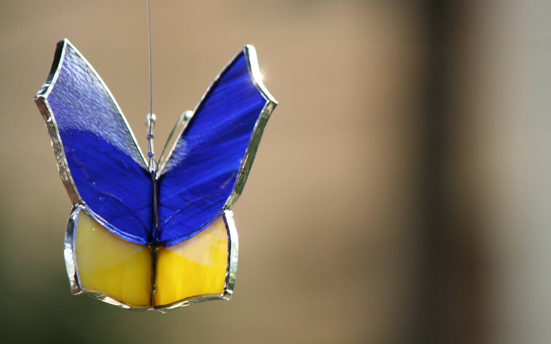 Stained glass workshop at Glasshopper